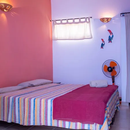 Sakaroule B&B-3